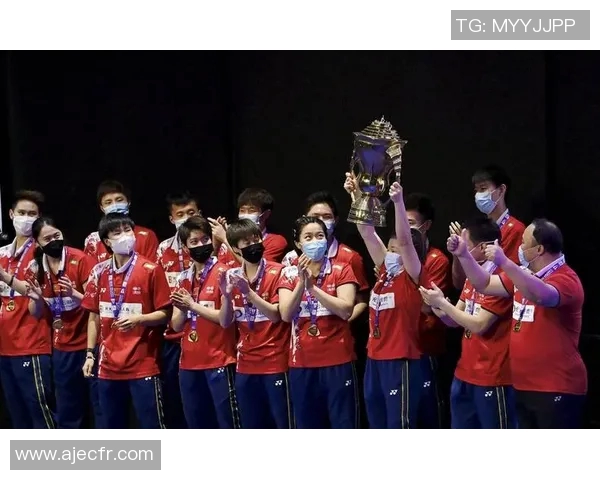 南京羽毛球队与深圳羽毛球队赛后复盘团队协作的成功与不足分析