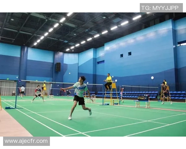 重庆羽毛球队在精英赛中的状态分析与表现评估