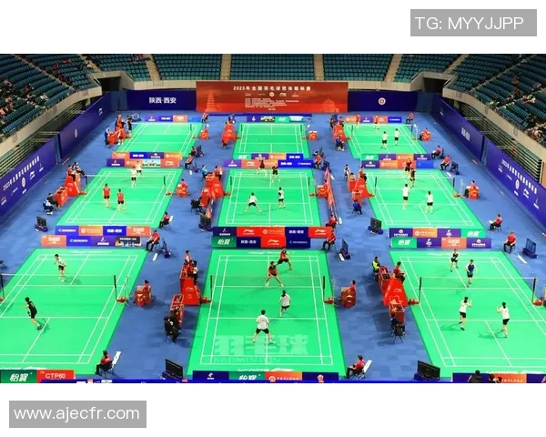 羽毛球速度排行榜：西安羽毛球队位居第6名