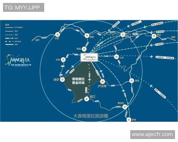 独家分析:成都网球队的速度对比